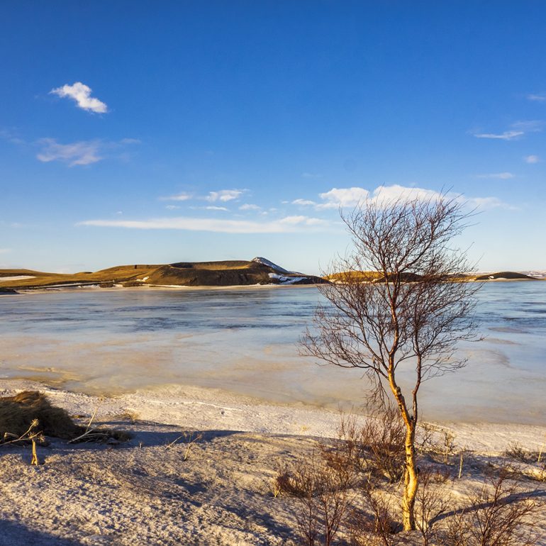 Myvatn Ice