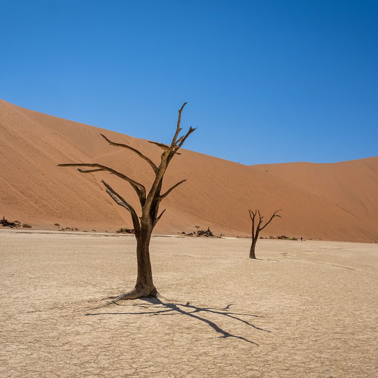 Deadvlei