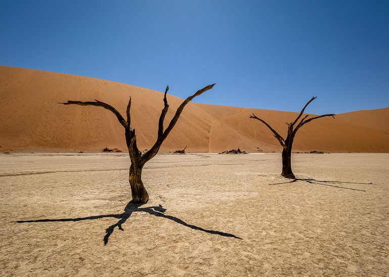 Deadvlei