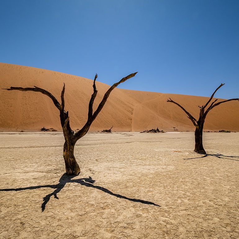 Deadvlei