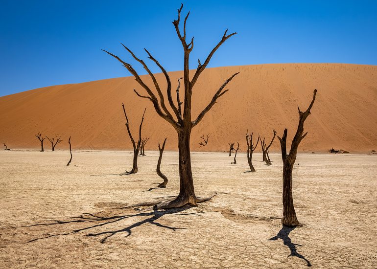 Deadvlei