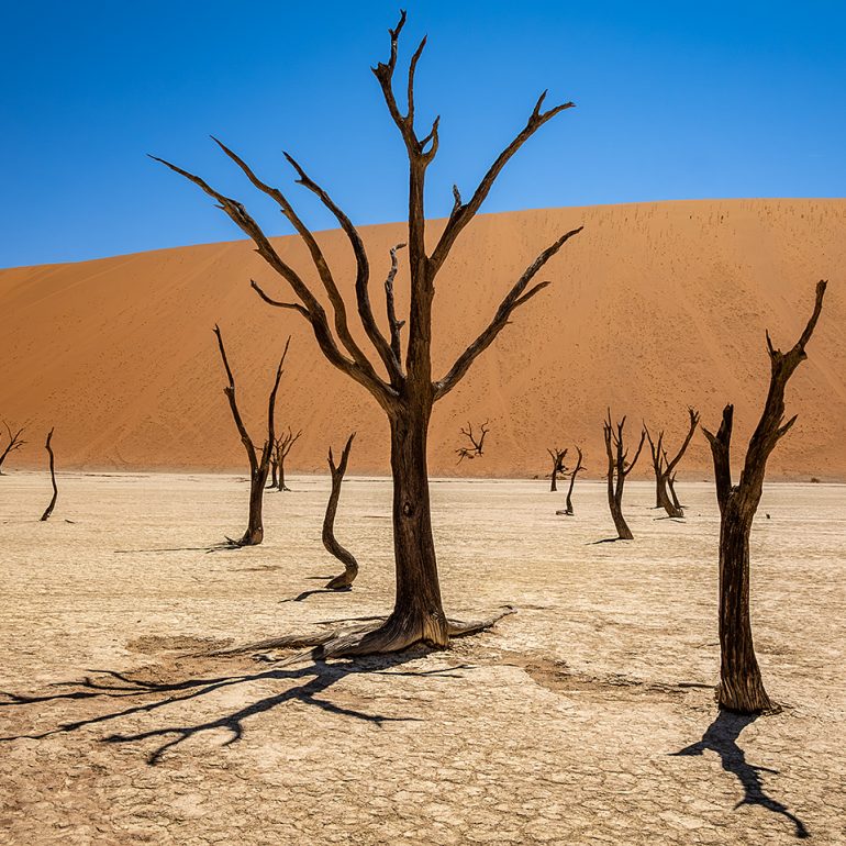 Deadvlei
