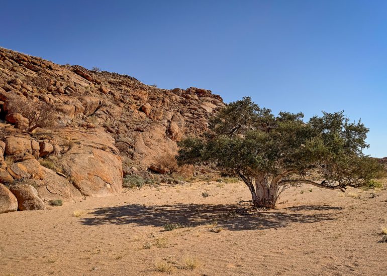 Namib Naukluft Lodge Hike
