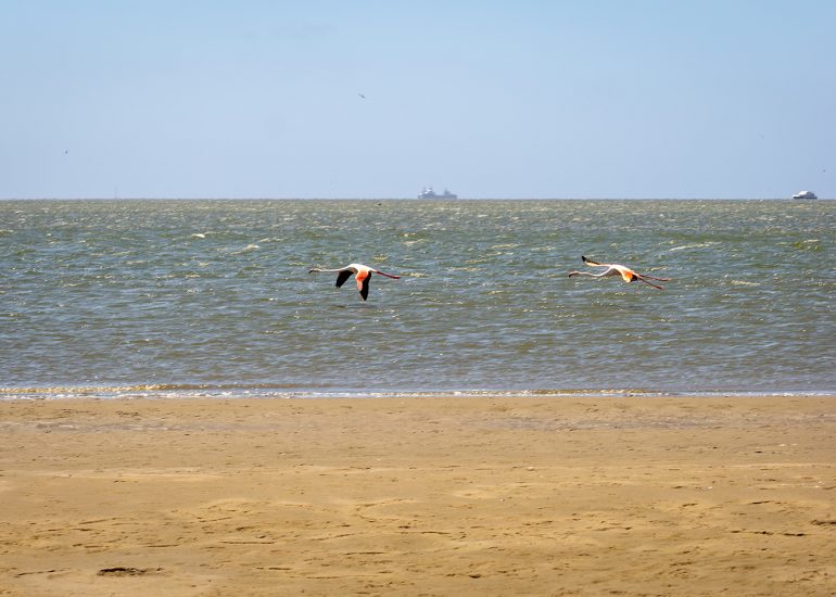 Catamaran Charter Cruise