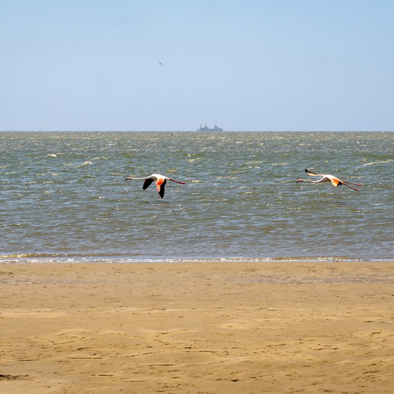 Catamaran Charter Cruise