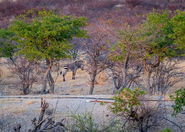 Vingerklip Waterhole