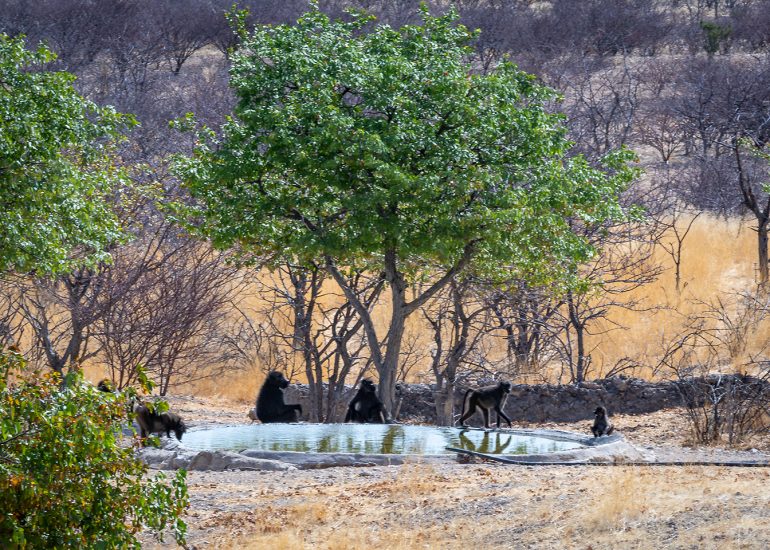 Vingerklip Waterhole